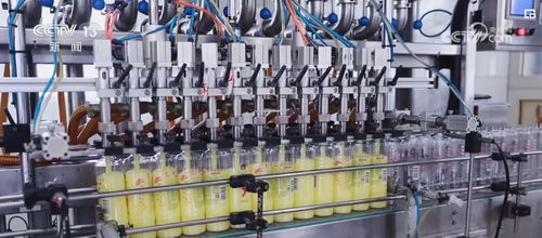 透過數(shù)據(jù)看變化，雙11購物熱彰顯消費市場活力與電子商務(wù)服務(wù)提升