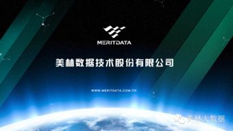 美林?jǐn)?shù)據(jù) 推動(dòng)數(shù)據(jù)流資產(chǎn)化，構(gòu)建大數(shù)據(jù)生態(tài)鏈